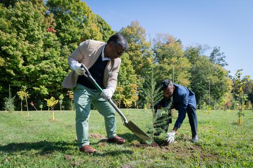 Green Team Tree Planting